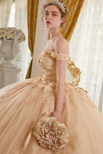 Load image into Gallery viewer, Cinderella Divine- 15702