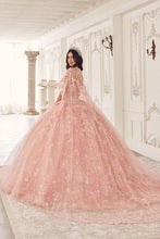 Load image into Gallery viewer, Cinderella Divine- 15719