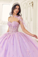 Load image into Gallery viewer, Cinderella Divine- 15723