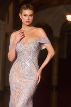 Load image into Gallery viewer, Cinderella Divine CD693