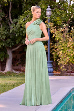 Load image into Gallery viewer, Cinderella Divine CD415