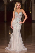 Load image into Gallery viewer, Cinderella Divine CD716
