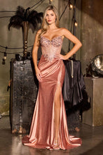 Load image into Gallery viewer, Cinderella divine CC456