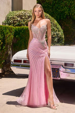 Load image into Gallery viewer, Cinderella divine CD727