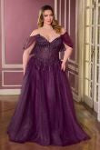 Load image into Gallery viewer, Cinderella Divine CD721C