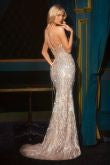 Load image into Gallery viewer, Cinderella Divine CD728