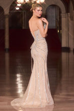 Load image into Gallery viewer, Cinderella Divine CD715
