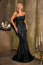 Load image into Gallery viewer, Cinderella Divine CD684