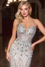 Load image into Gallery viewer, Cinderella Divine CD716