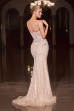 Load image into Gallery viewer, Cinderella Divine CD681