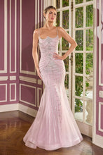 Load image into Gallery viewer, Cinderella Divine CB167