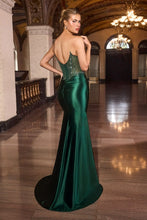 Load image into Gallery viewer, Cinderella Divine C172
