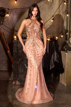 Load image into Gallery viewer, Cinderella Divine CC8281