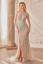 Load image into Gallery viewer, ANDREA &LEO A1230