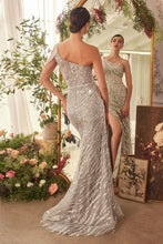 Load image into Gallery viewer, Cinderella Divine- A1370