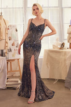 Load image into Gallery viewer, Cinderella Divine- A1374