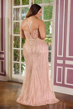Load image into Gallery viewer, Cinderella Divine CC416C