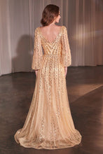 Load image into Gallery viewer, Cinderella Divine- CD0240