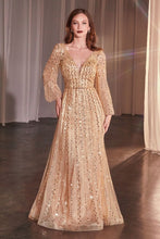 Load image into Gallery viewer, Cinderella Divine- CD0240