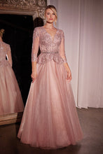 Load image into Gallery viewer, Ladivine- CD789