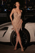 Load image into Gallery viewer, Ladivine- CDS531