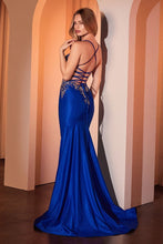 Load image into Gallery viewer, Cinderella Divine CM372