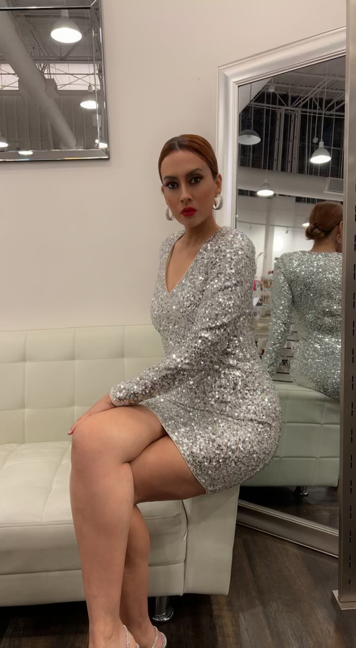 Joelle L/S Sequin Dress - Silver