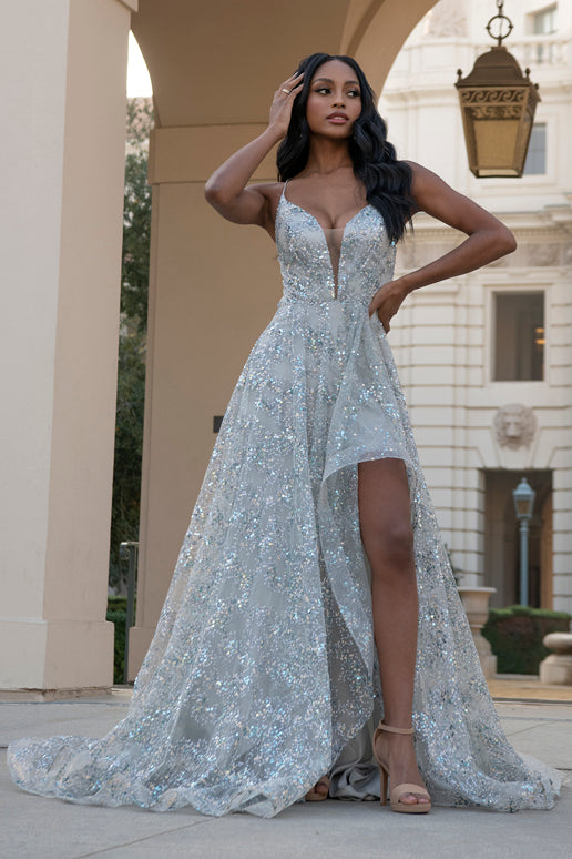 open lace back dress Illusion V-Neckline Glitter Long Gown BZ017 10 / Silver
