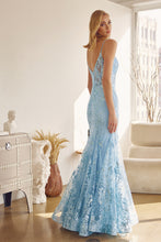 Load image into Gallery viewer, Juliet Collection 274