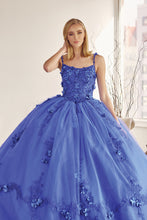 Load image into Gallery viewer, Juliet Collection 1436