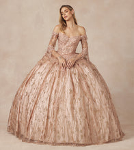 Load image into Gallery viewer, Juliet Collection 1438