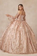 Load image into Gallery viewer, Juliet Collection 1438