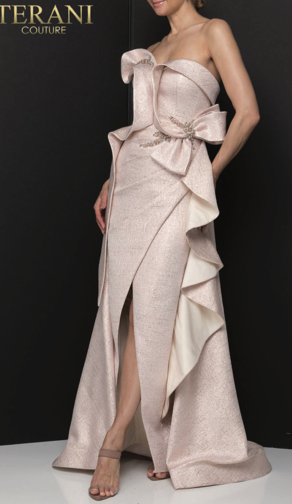 Terani Couture 2011E2073 Glamorous Sophisticated Evening Formal Premium Dress