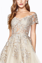 Load image into Gallery viewer, Cinderella Evening Dress C20