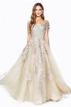 Load image into Gallery viewer, Cinderella Evening Dress C20