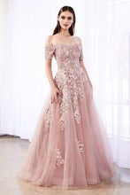 Load image into Gallery viewer, Cinderella Evening Dress C20