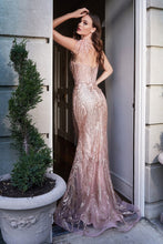 Load image into Gallery viewer, Cinderella Evening Dress CB087