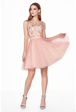 Load image into Gallery viewer, Cinderella Evening Dress CD20