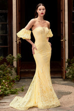Load image into Gallery viewer, Cinderella Evening Dress CD958