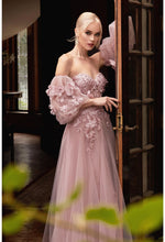Load image into Gallery viewer, Cinderella Evening Dress CD962