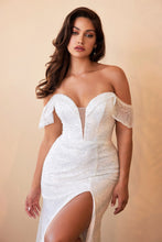 Load image into Gallery viewer, Cinderella Evening Dress CH167W