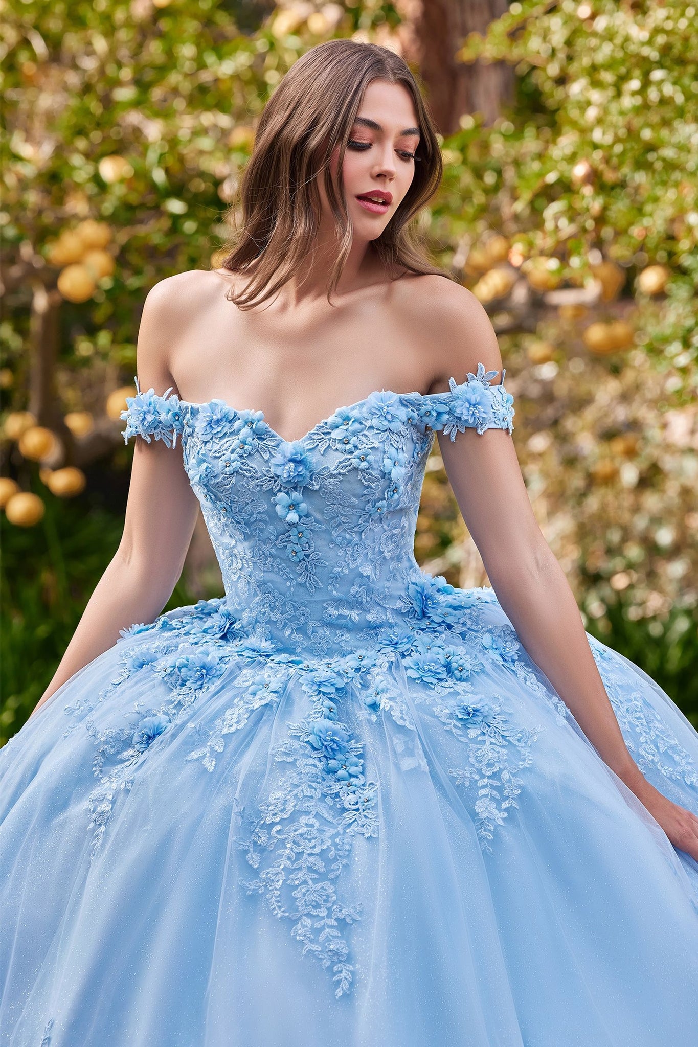 cinderella blue quince dress Sky Blue Cinderella Quinceanera Dresses with Cape Appliques 3D Floral Off Shoulder Lace-up Corset vestidos de 15 quinceaNera