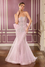 Load image into Gallery viewer, Cinderella Divine CB167
