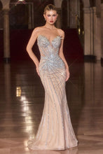 Load image into Gallery viewer, Cinderella Divine CD715
