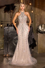 Load image into Gallery viewer, Cinderella Divine CC8281
