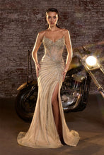 Load image into Gallery viewer, Cinderella divine CD727
