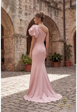 Load image into Gallery viewer, Terani Couture 252E5514
