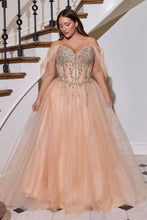 Load image into Gallery viewer, Cinderella Divine CD721C
