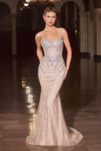 Load image into Gallery viewer, Cinderella Divine CD681
