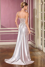 Load image into Gallery viewer, Cinderella Divine CC0329
